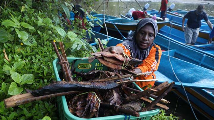 Jejak Manibob, Sistem Barter Unik dari Tanah Biak